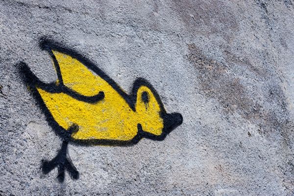 Cacophony: Open Ed, Digital Pedagogy Lab, and the Challenge of Education Conferences